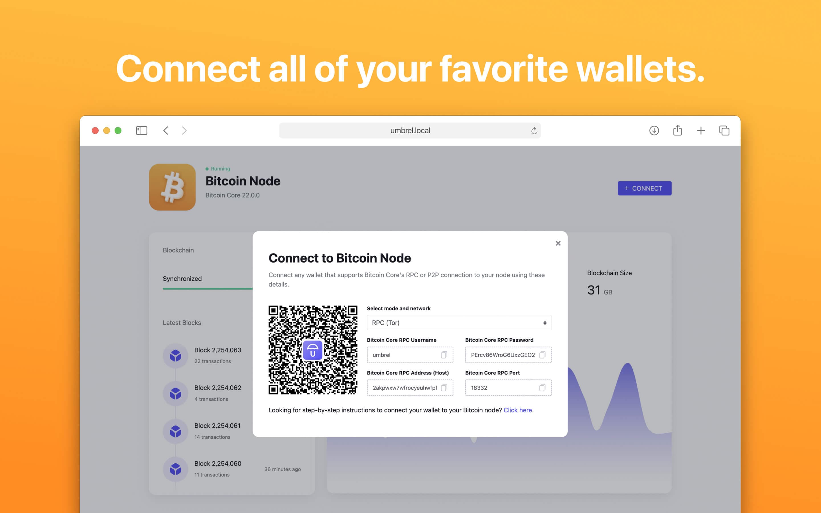 Screenshot 2 of Bitcoin Node app on Umbrel App Store