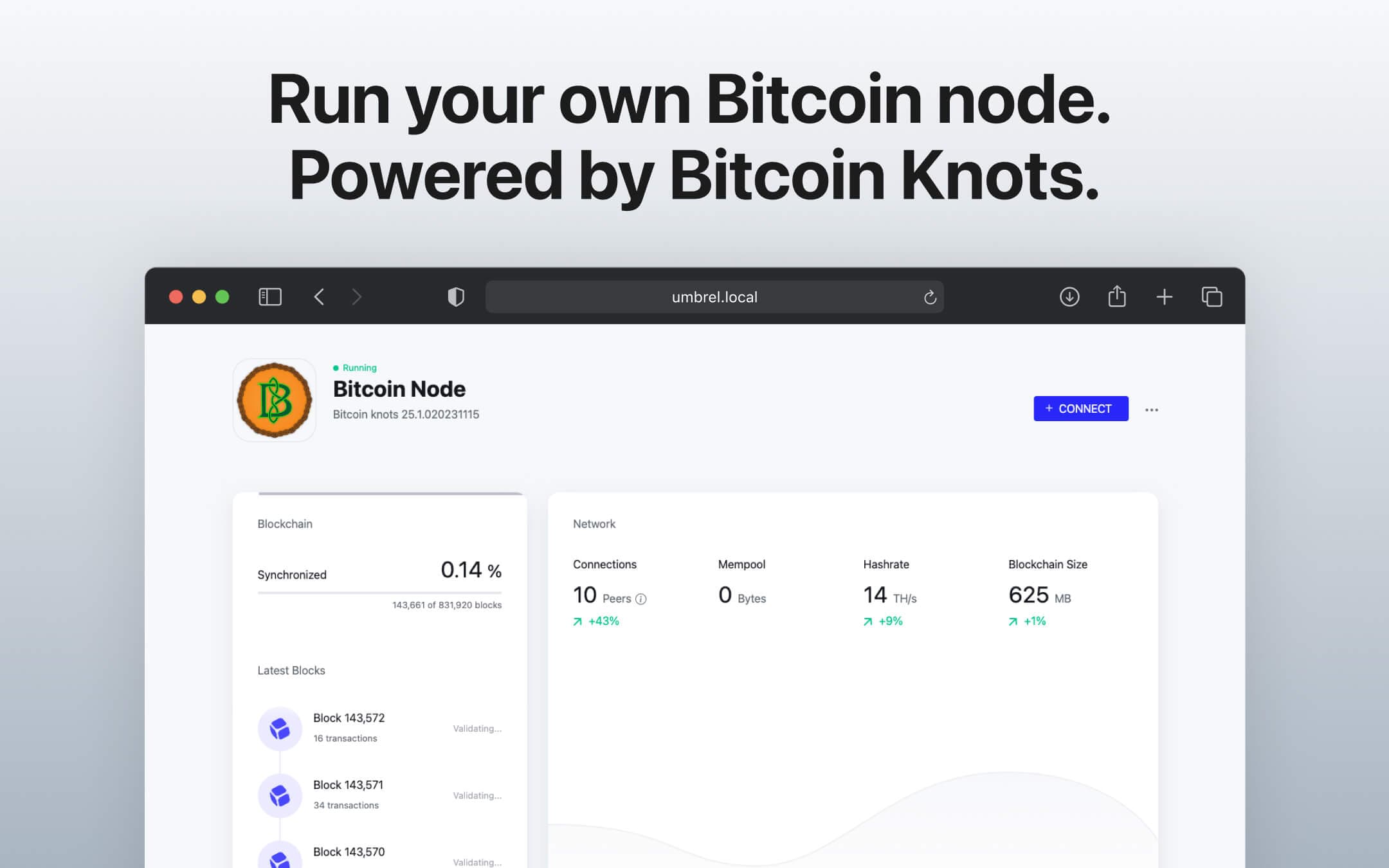 Screenshot 1 of Bitcoin Knots app on Umbrel App Store