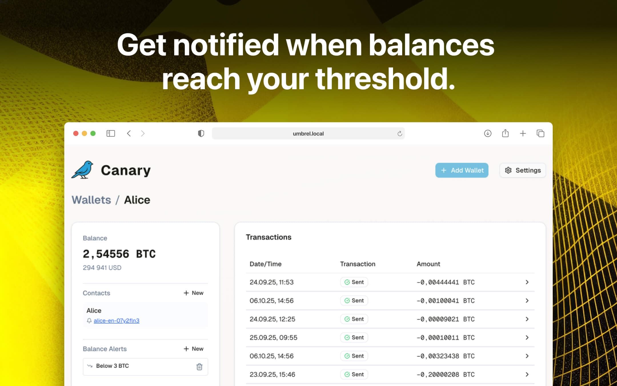 Screenshot 2 of Canary app on Umbrel App Store