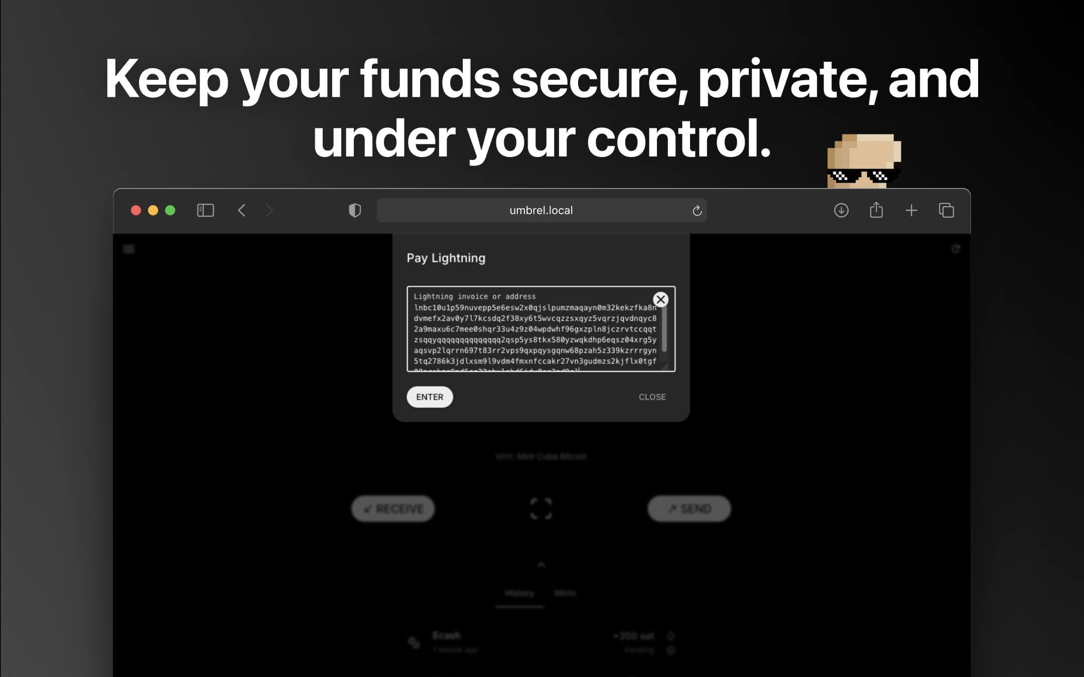 Screenshot 2 of Cashu.me Wallet app on Umbrel App Store