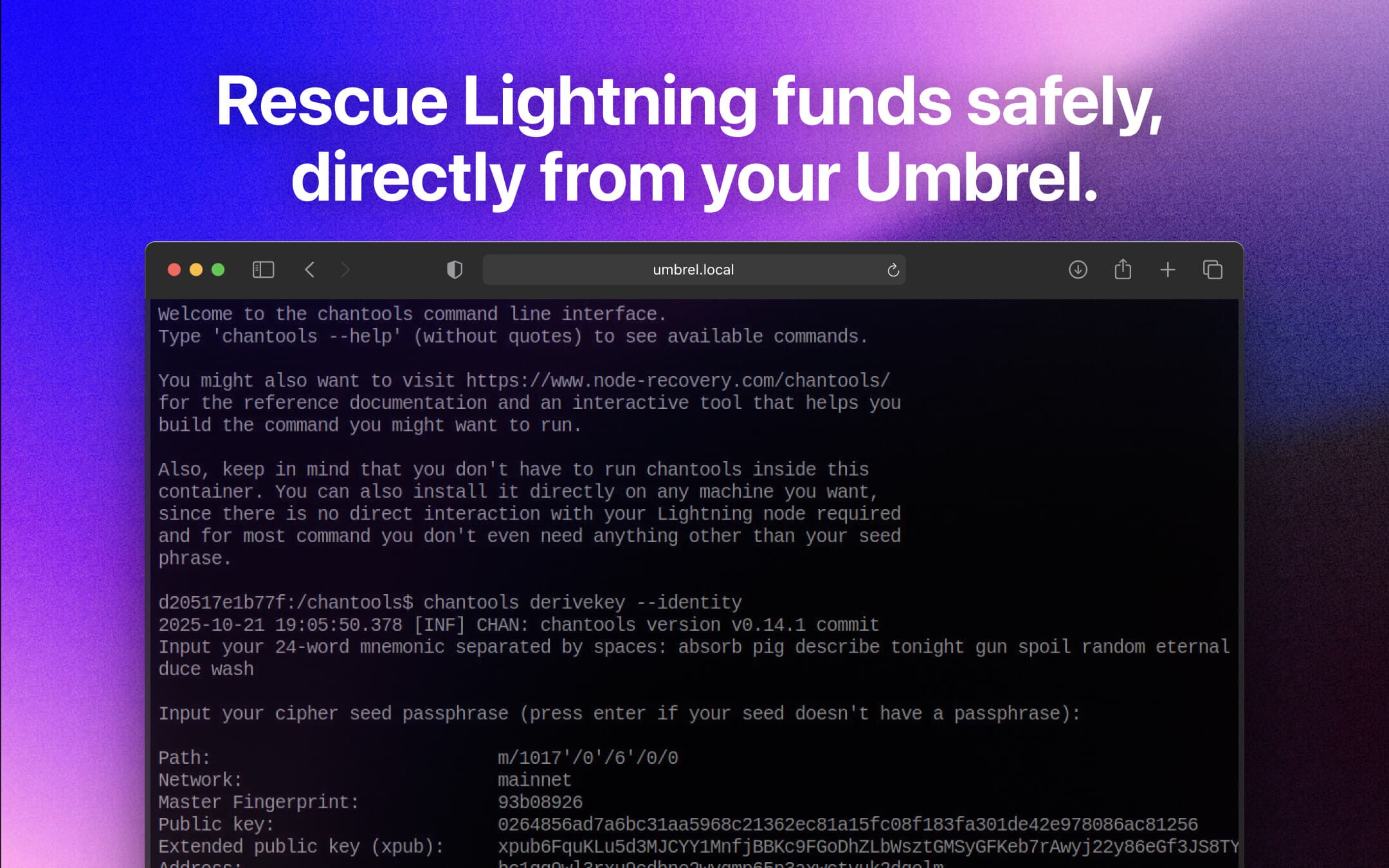 Screenshot 1 of chantools CLI app on Umbrel App Store