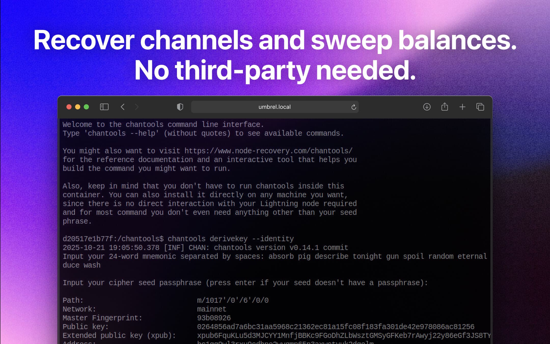 Screenshot 2 of chantools CLI app on Umbrel App Store