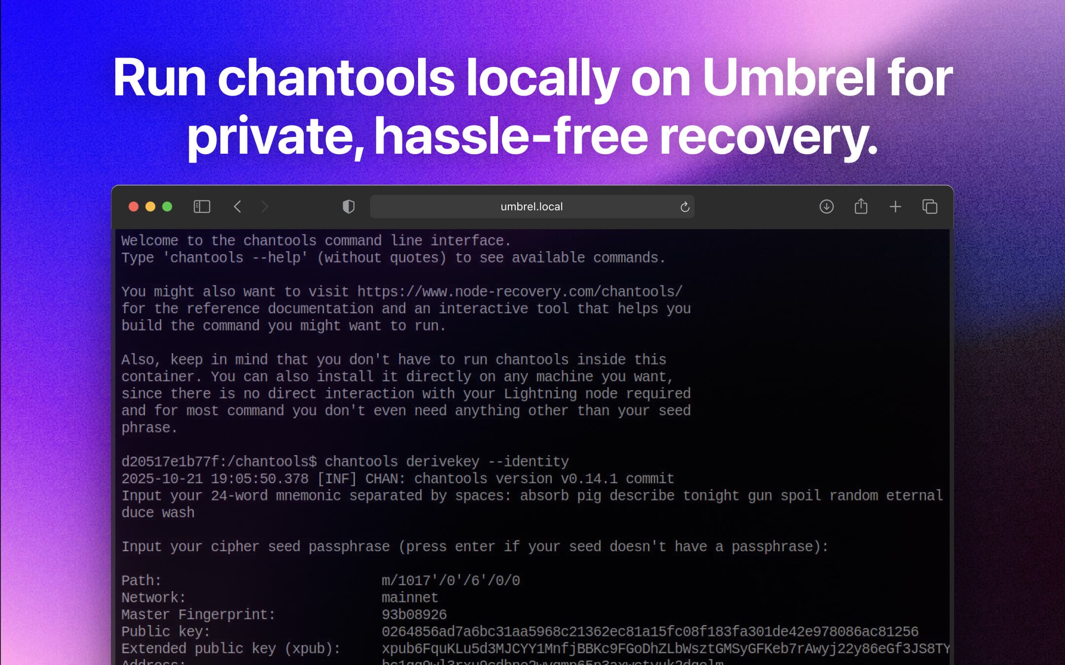 Screenshot 3 of chantools CLI app on Umbrel App Store