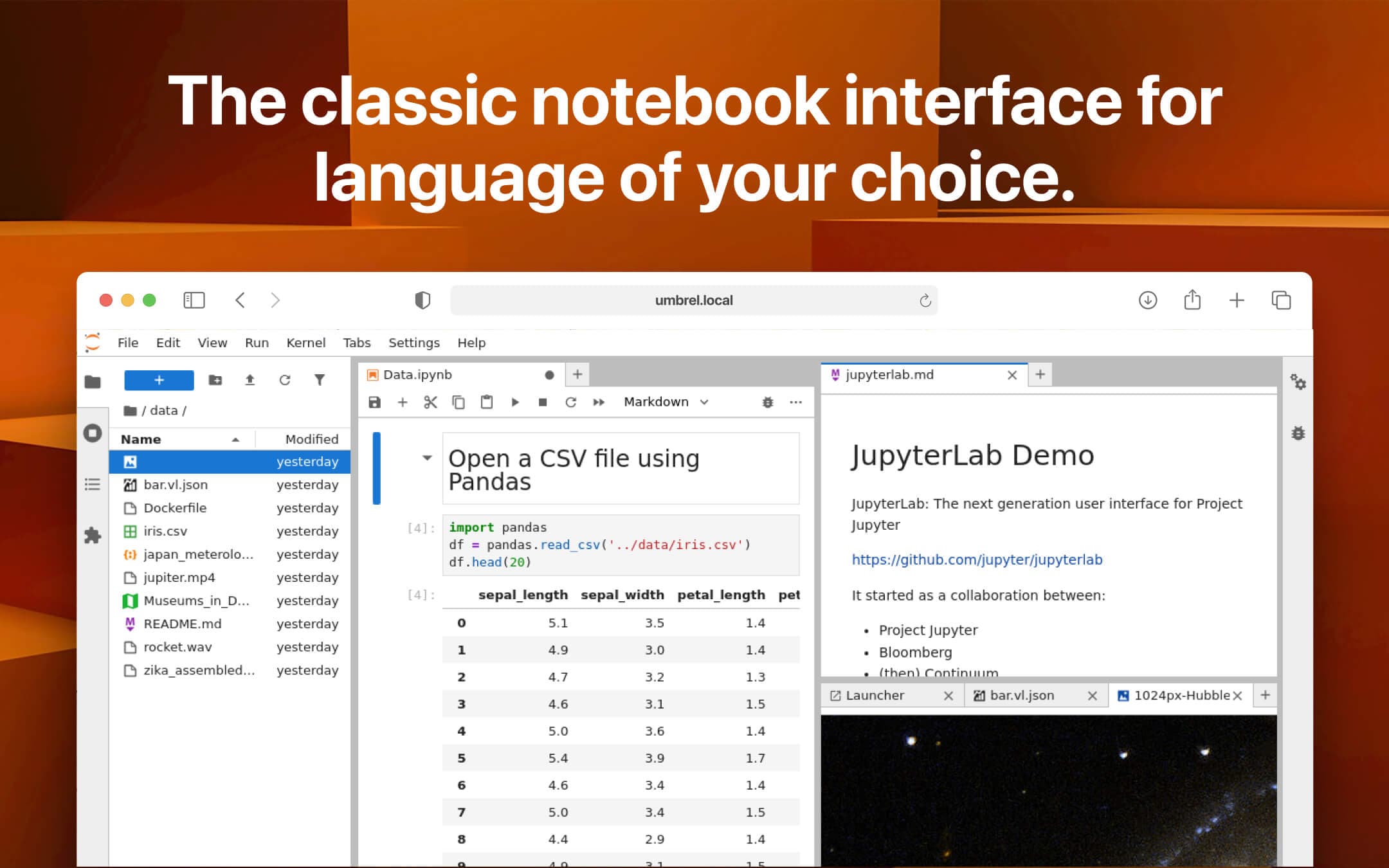 Screenshot 2 of JupyterLab app on Umbrel App Store