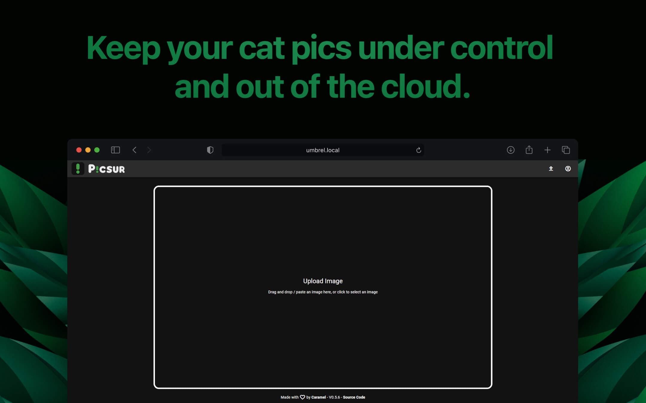 Screenshot 1 of Picsur app on Umbrel App Store