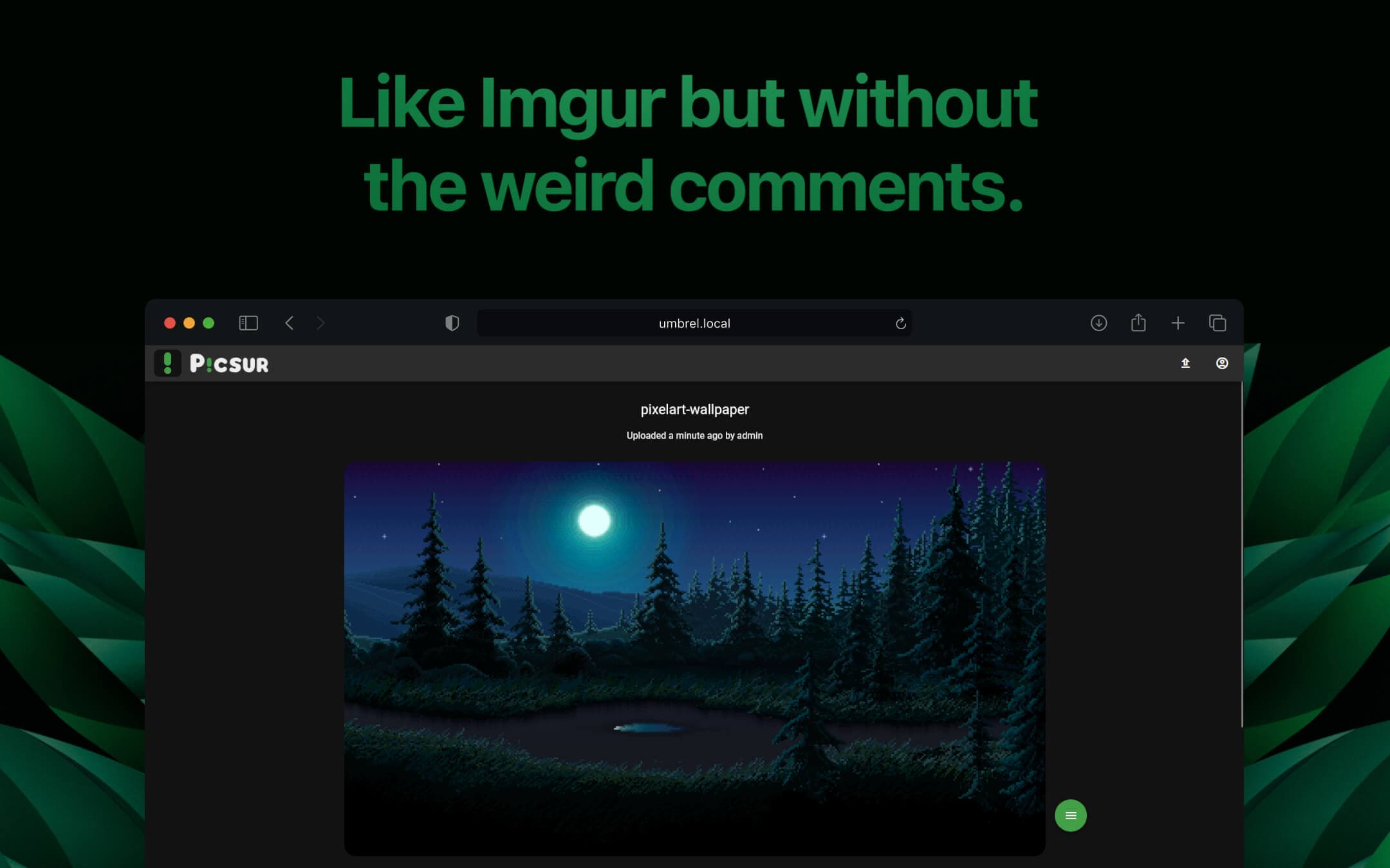 Screenshot 2 of Picsur app on Umbrel App Store