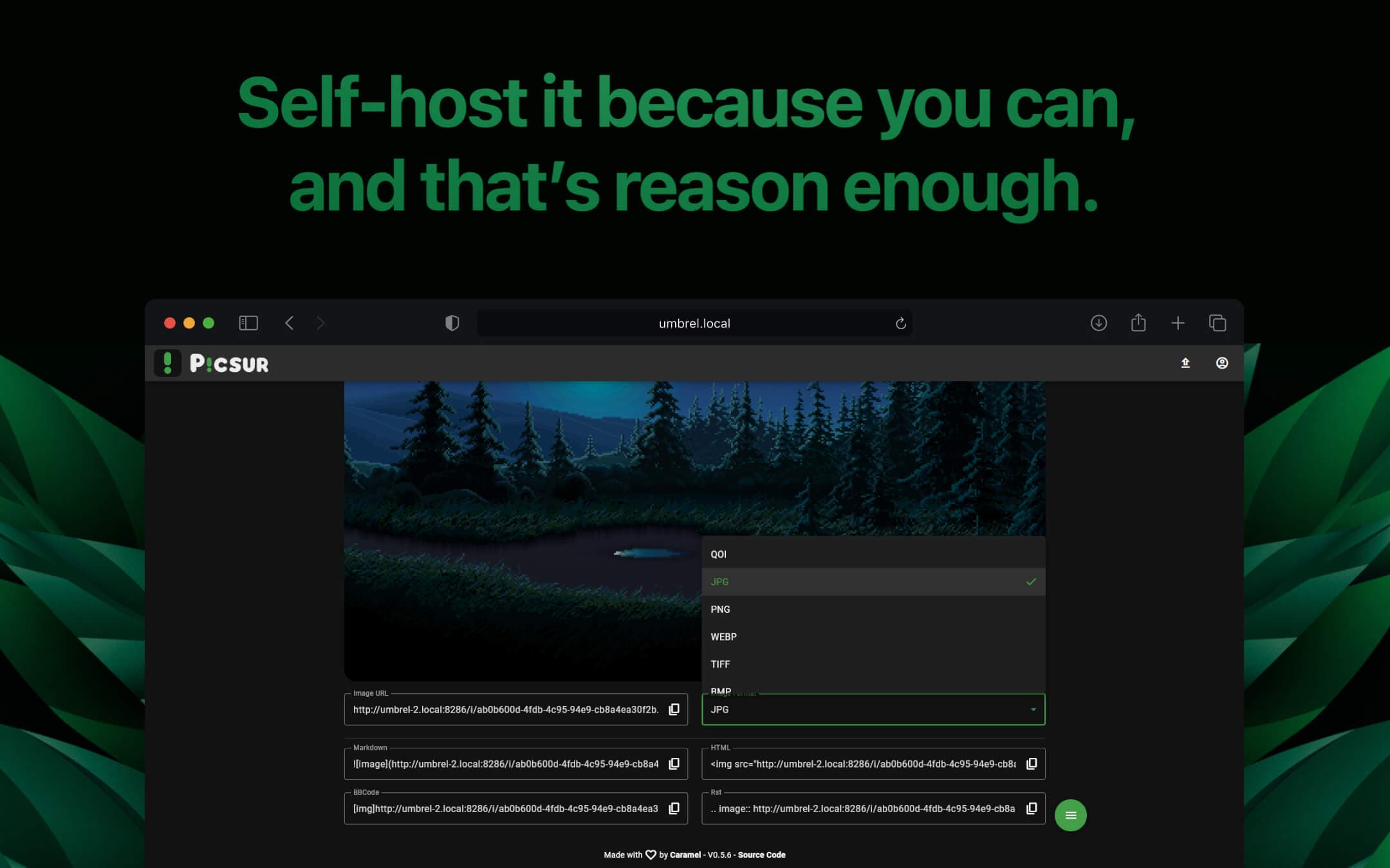 Screenshot 3 of Picsur app on Umbrel App Store