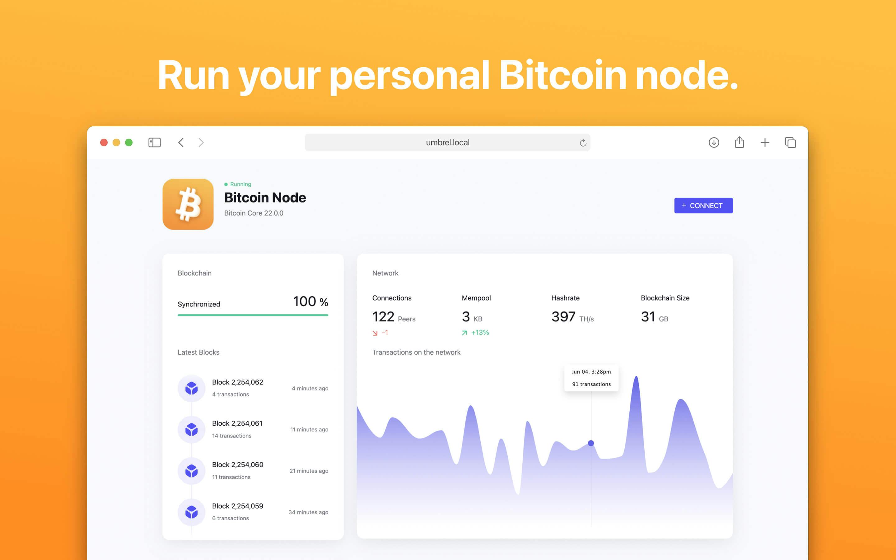 Screenshot 1 of Bitcoin Node app on Umbrel App Store