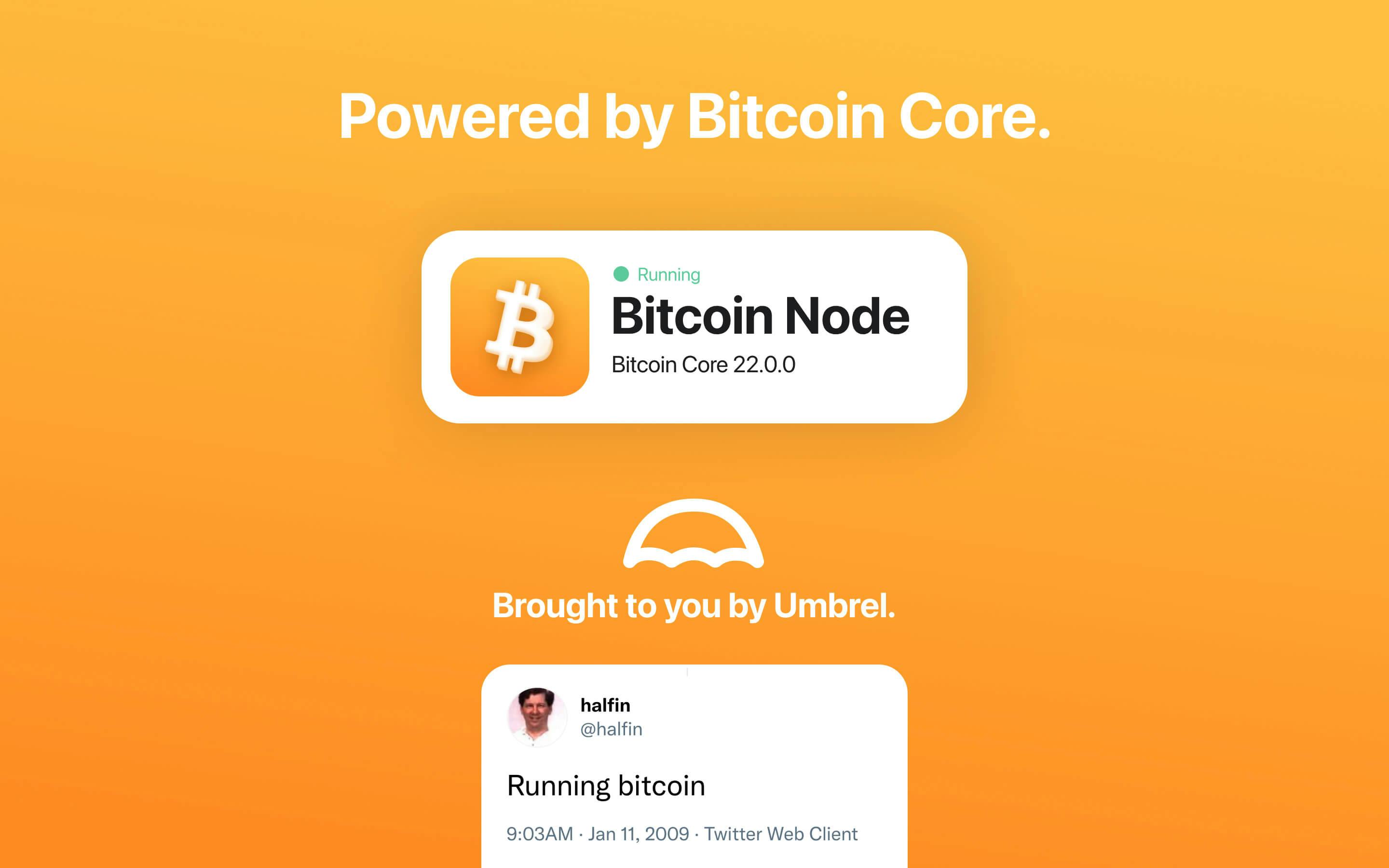 Screenshot 5 of Bitcoin Node app on Umbrel App Store