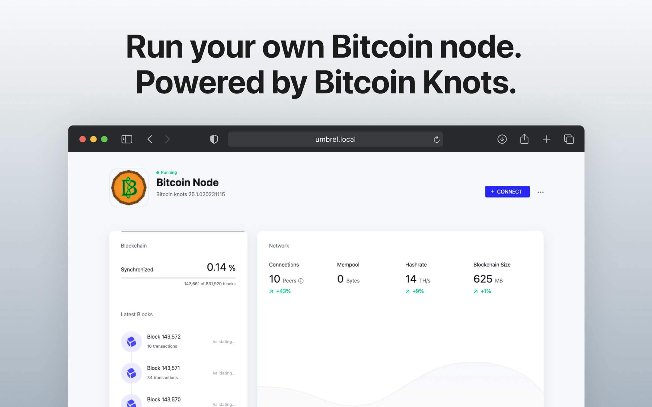 Screenshot 1 of Bitcoin Knots app on Umbrel App Store
