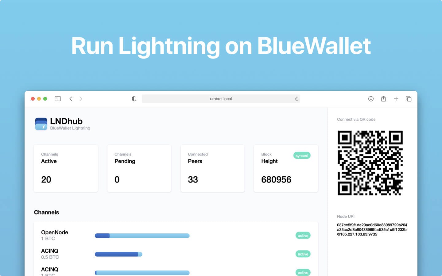 Screenshot 1 of BlueWallet Lightning app on Umbrel App Store