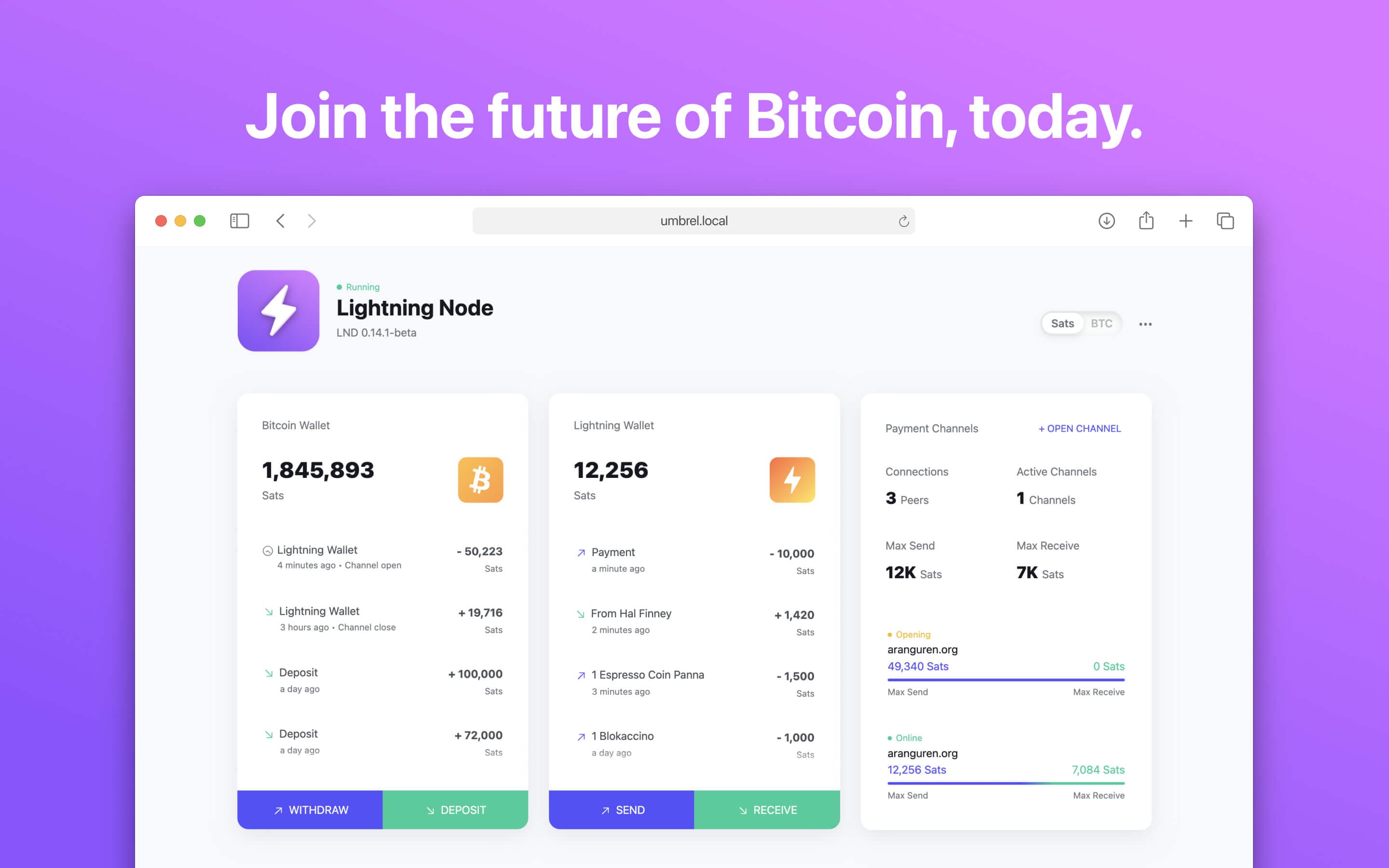 Screenshot 1 of Lightning Node app on Umbrel App Store