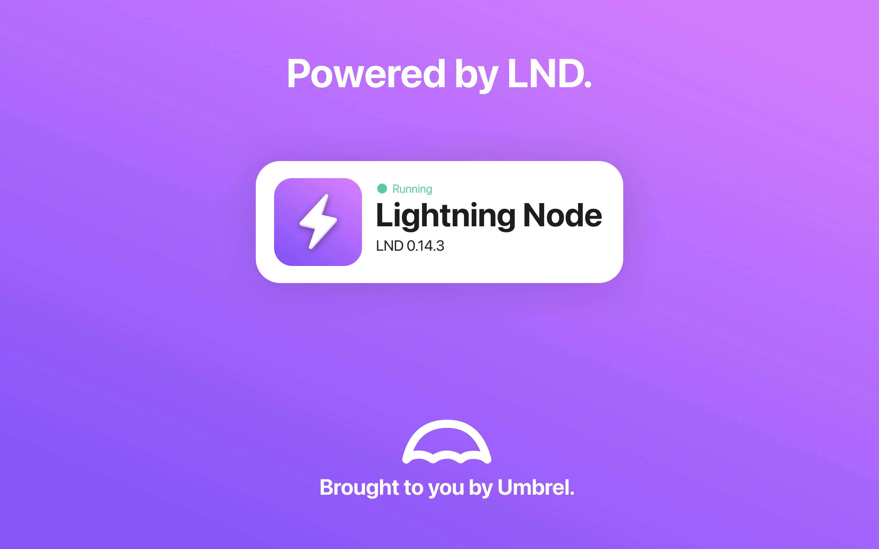 Screenshot 5 of Lightning Node app on Umbrel App Store