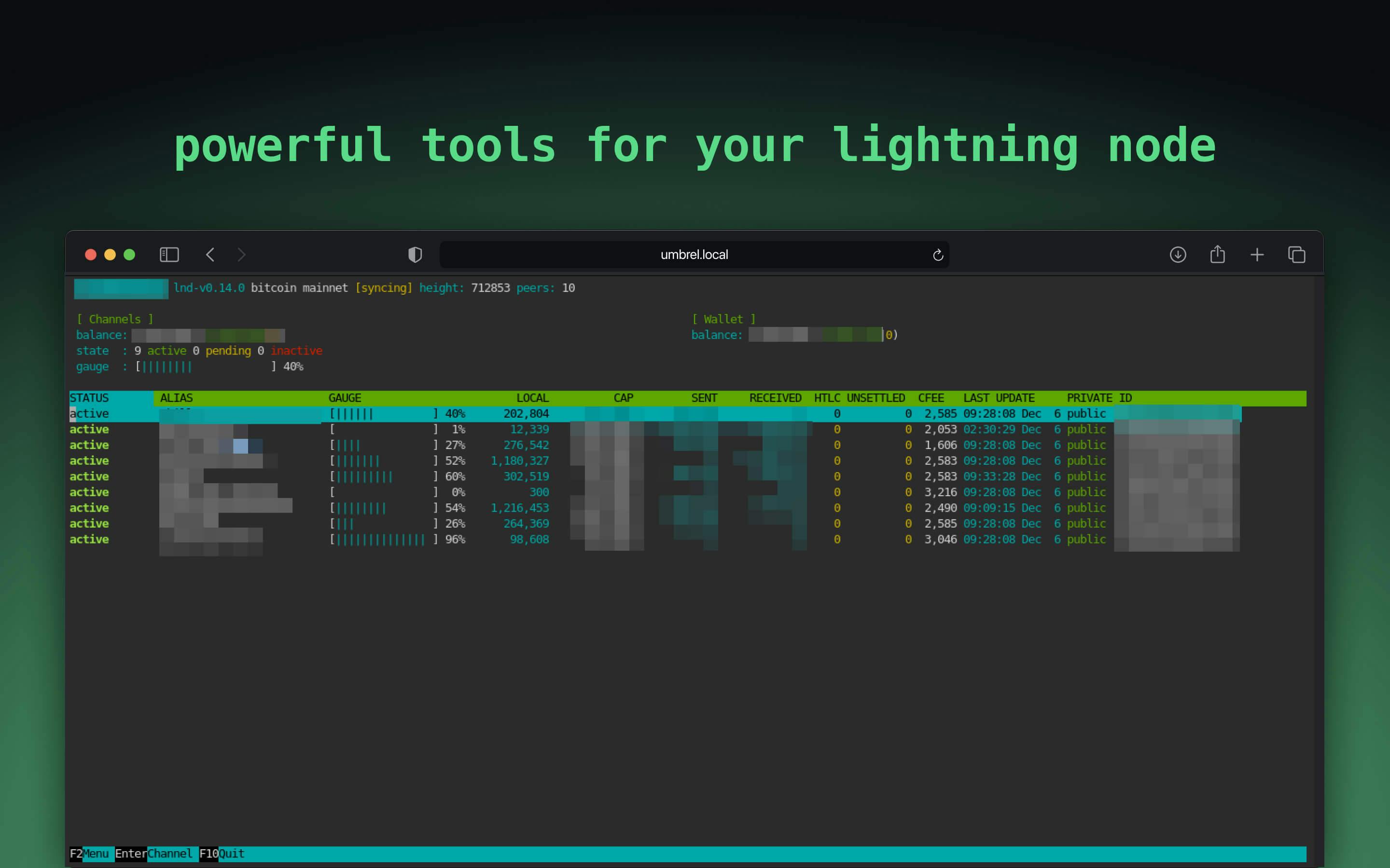 Screenshot 1 of Lightning Shell app on Umbrel App Store