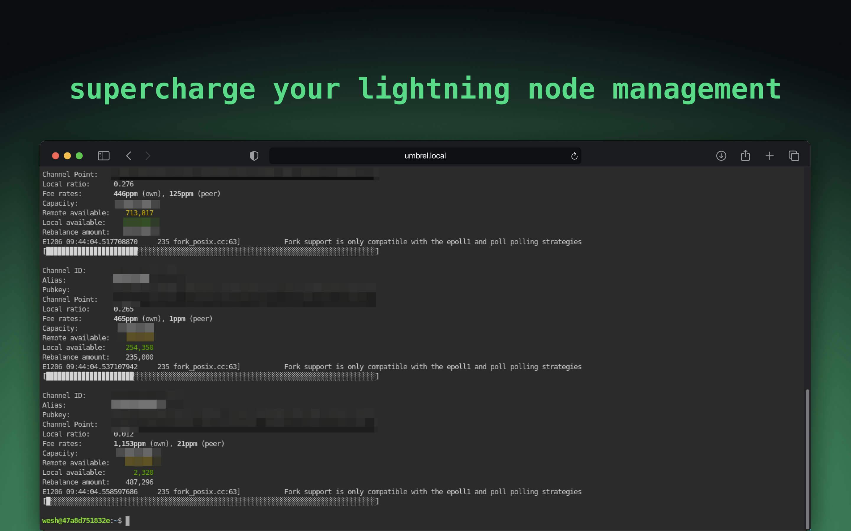 Screenshot 3 of Lightning Shell app on Umbrel App Store