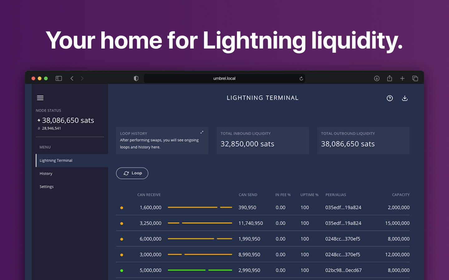 Screenshot 1 of Lightning Terminal app on Umbrel App Store
